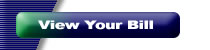 View and Pay Your Bill Online